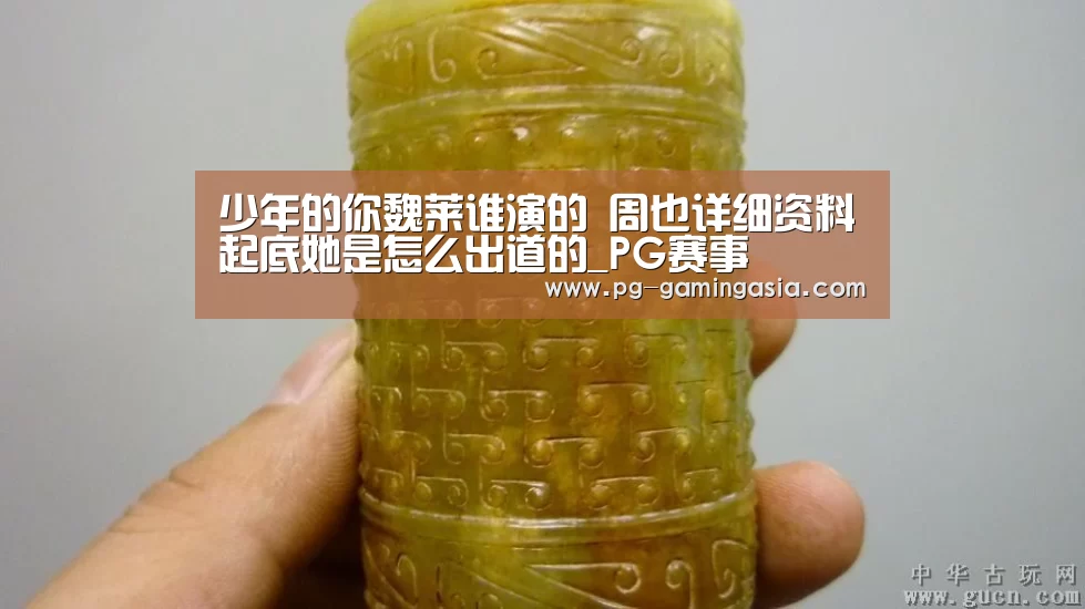 少年的你魏莱谁演的 周也详细资料起底她是怎么出道的_PG赛事(图1) PG电竞